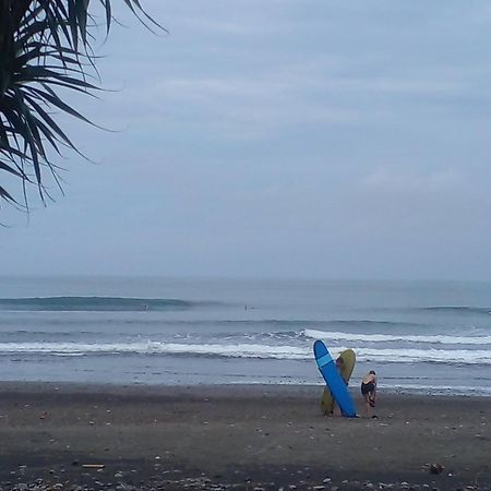 Medewi Good Vibes Stay&Surf Jembrana Exteriör bild
