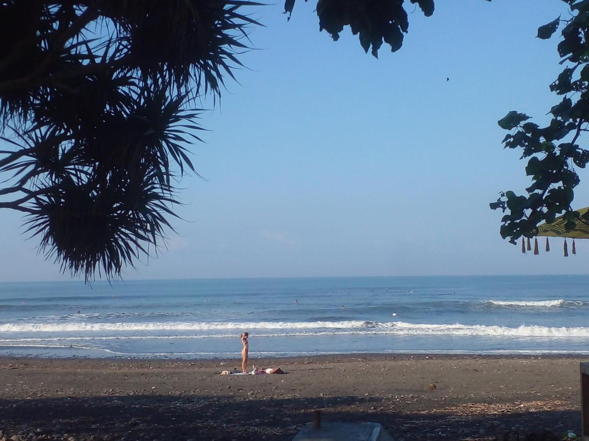 Medewi Good Vibes Stay&Surf Jembrana Exteriör bild