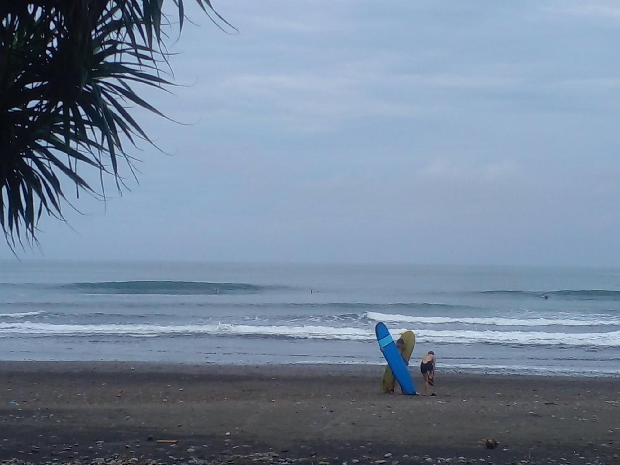 Medewi Good Vibes Stay&Surf Jembrana Exteriör bild