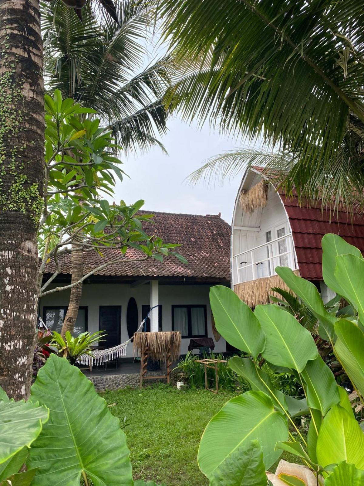 Medewi Good Vibes Stay&Surf Jembrana Rum bild